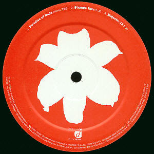 UKDLP D-side label