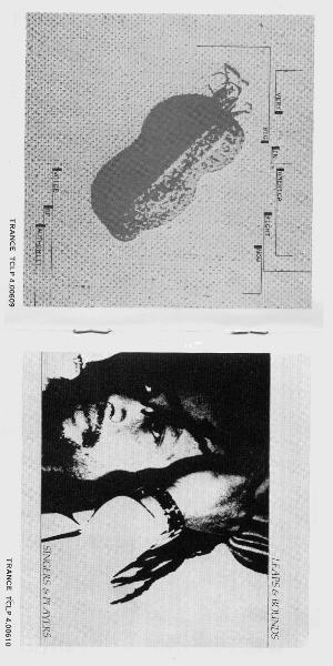 Inside cover 6