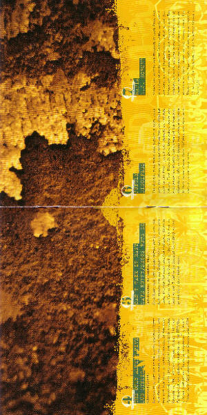 CD inside cover 2