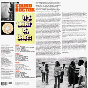 DLP1 back cover