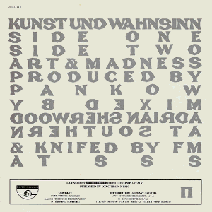 Ge12-inch back cover