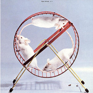 12-inch front cover